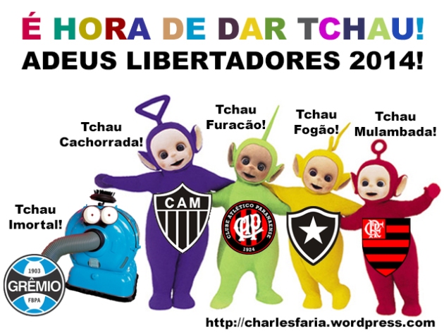 Adeus Libertadores 2014! É Hora de Dar Tchau!